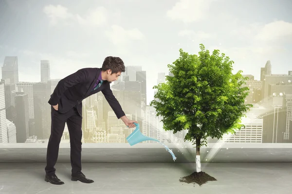 Businessman watering green tree on city background — Stock Photo, Image