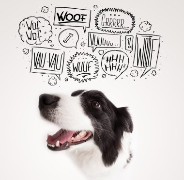 Havlayan köpüklü şirin bir köpek.