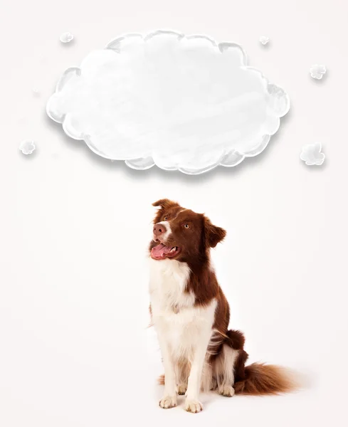 Niedlicher Border Collie mit leeren Wolken — Stockfoto