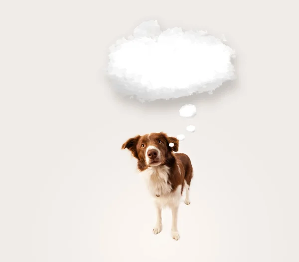 Chien mignon avec bulle nuage vide — Photo