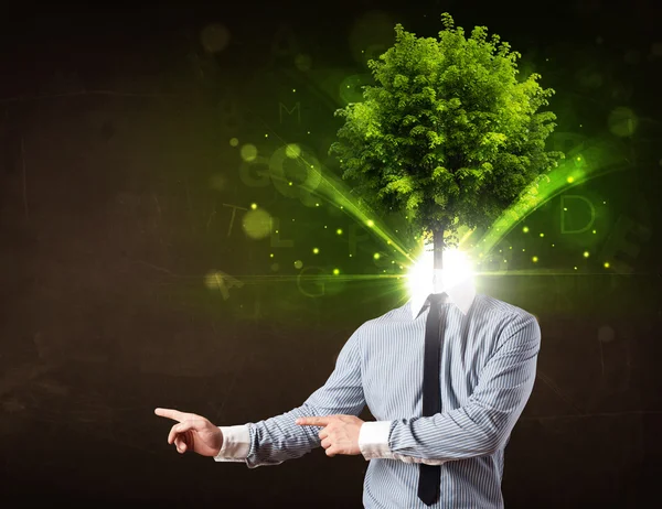 Man with green tree head concept — Stock Photo, Image