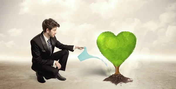 Business man watering heart shaped green tree — Stock Photo, Image