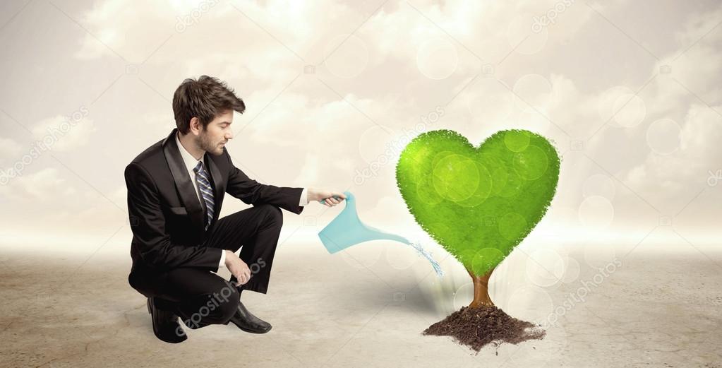 Business man watering heart shaped green tree