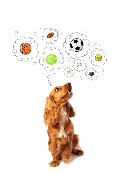 Cute dog with balls in thought bubbles — Stock Photo, Image