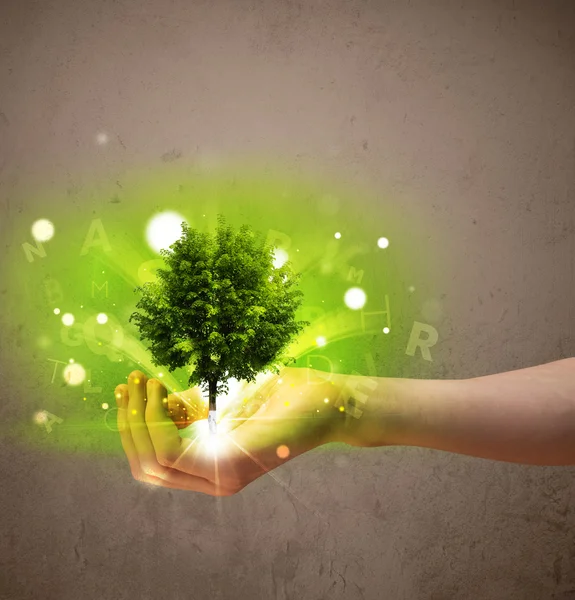 Glowing tree growing in the hand of a woman — Stock Photo, Image