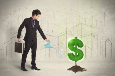 İş adamı, şehrin arka planında dolar ağacı tabelasında suyu süzüyor.
