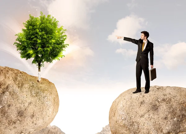 Businessman on rock mountain with a tree — Stock Photo, Image