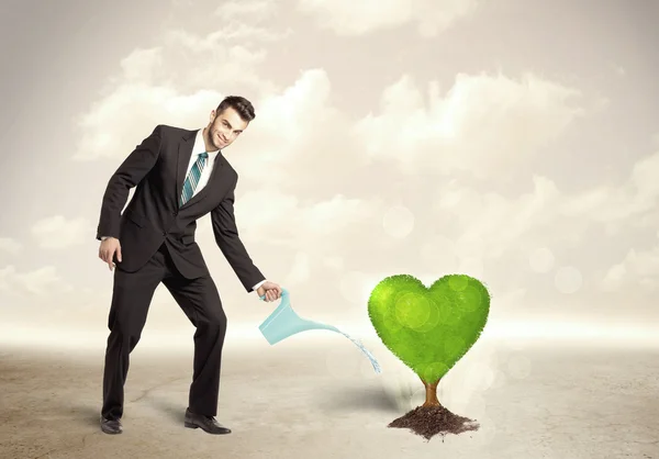 Business man watering heart shaped green tree — Stock Photo, Image