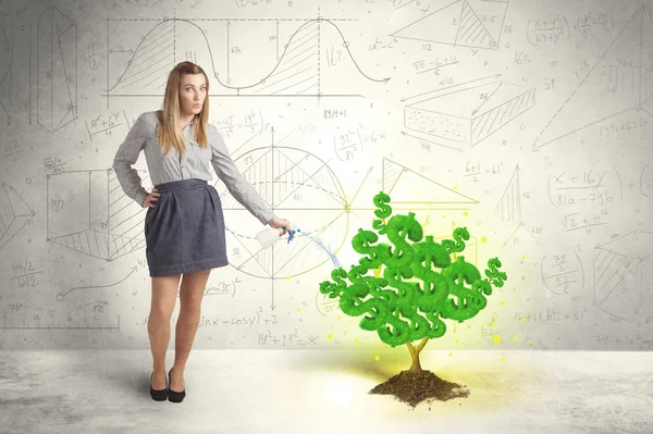 Business woman watering a growing green dollar sign tree — Stock Photo, Image