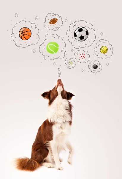 Cute dog with balls in thought bubbles — Stock Photo, Image