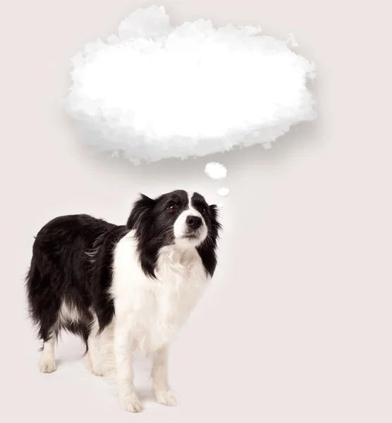 Cute dog with empty cloud bubble — Stock Photo, Image