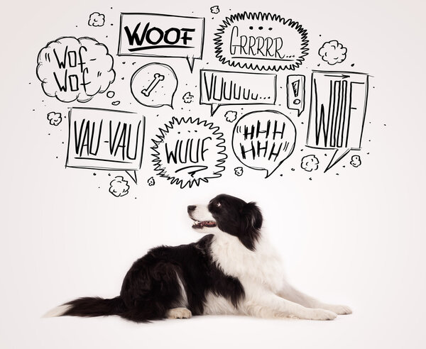 Милая собака с лающими пузырьками