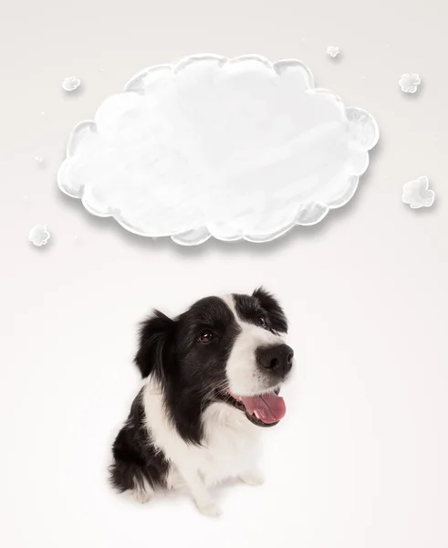 Niedlicher Border Collie mit leeren Wolken — Stockfoto