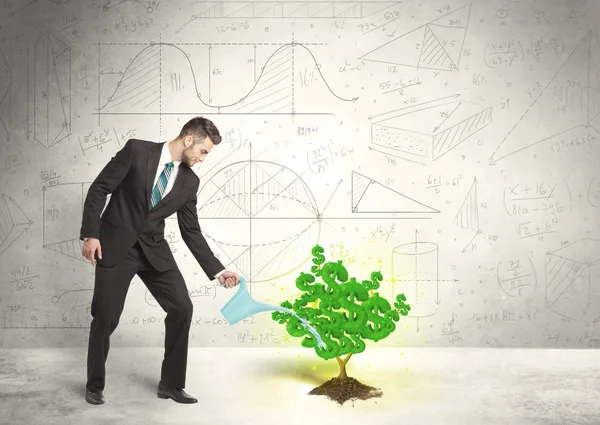 Business man watering a growing green dollar sign tree — Stock Photo, Image