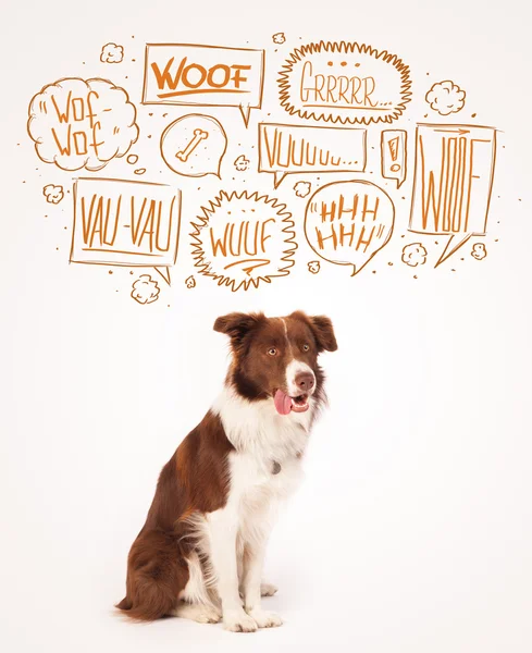 Cute dog with barking bubbles — Stock Photo, Image