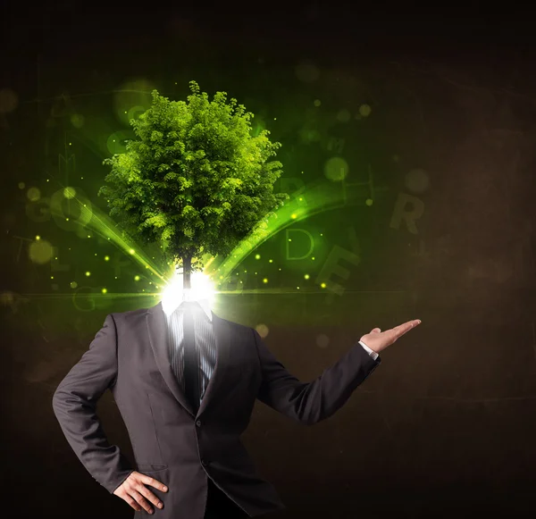 녹색 나무의 머리 개념을 가진 사람 — 스톡 사진
