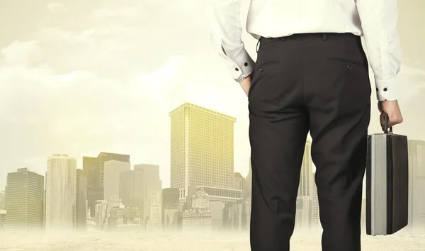 Businessman with city view — Stock Photo, Image