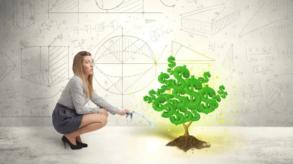 Business woman watering a growing green dollar sign tree — Stock Photo, Image