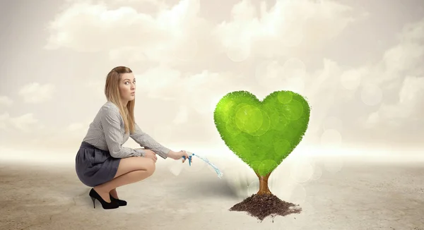 Business woman watering heart shaped green tree — Stock Photo, Image