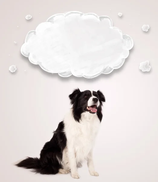 带空云彩的可爱的边境牧羊犬 — 图库照片