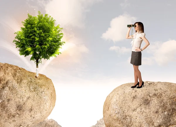 Mujer de negocios en la montaña de roca con un árbol — Foto de Stock