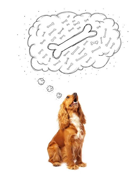 Cute dog with thought bubble thinking about a bone — Stock Photo, Image