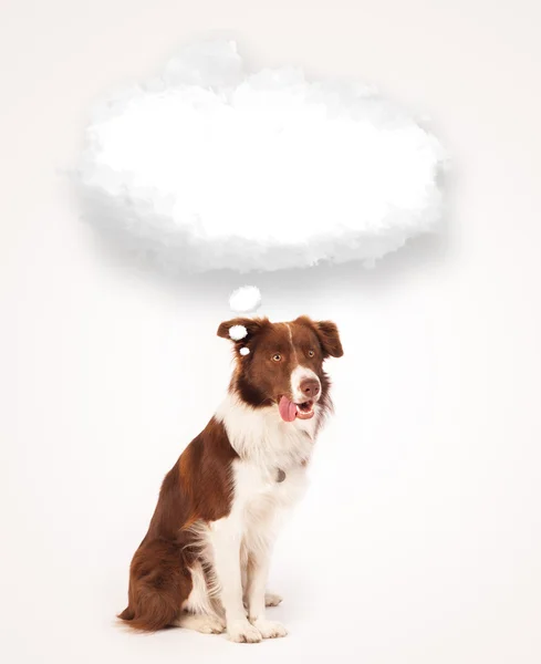 สุนัขน่ารักที่มีฟองเมฆว่างเปล่า — ภาพถ่ายสต็อก