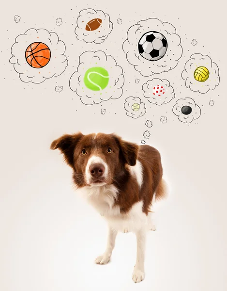 Lindo perro con bolas en burbujas de pensamiento — Foto de Stock
