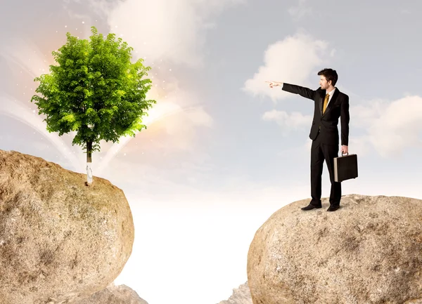 Businessman on rock mountain with a tree — Stock Photo, Image