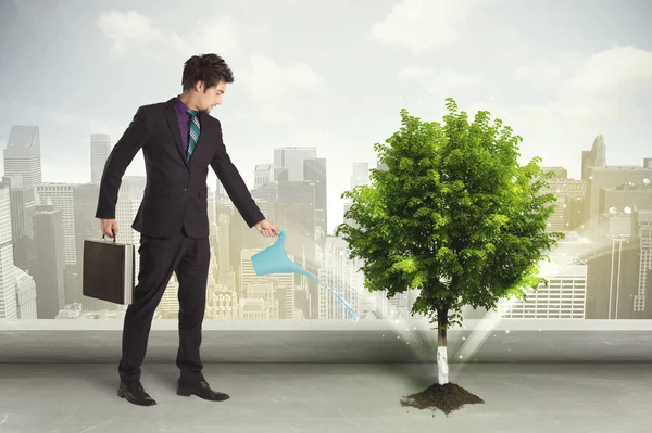 Empresário molhando árvore verde no fundo da cidade — Fotografia de Stock