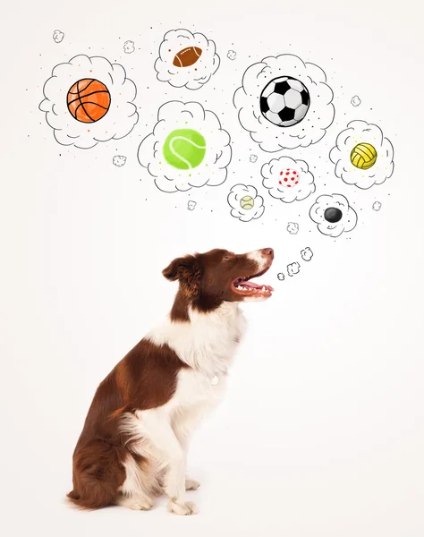 Söt hund med bollar i tankebubblor — Stockfoto