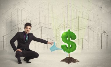 İş adamı, şehrin arka planında dolar ağacı tabelasında suyu süzüyor.