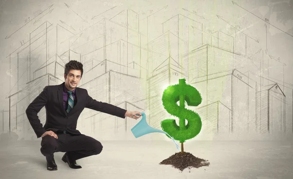 Geschäftsmann gießt Wasser auf Dollar-Baum-Schild vor Stadthintergrund — Stockfoto