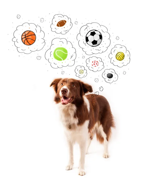 Cute dog with balls in thought bubbles — Stock Photo, Image