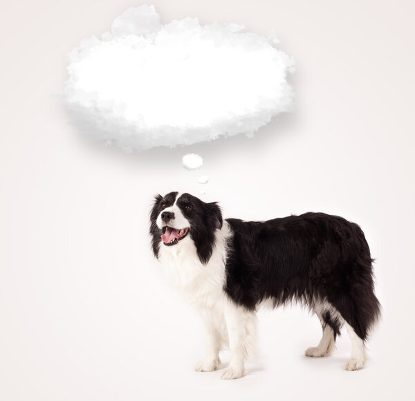 Cute dog with empty cloud bubble