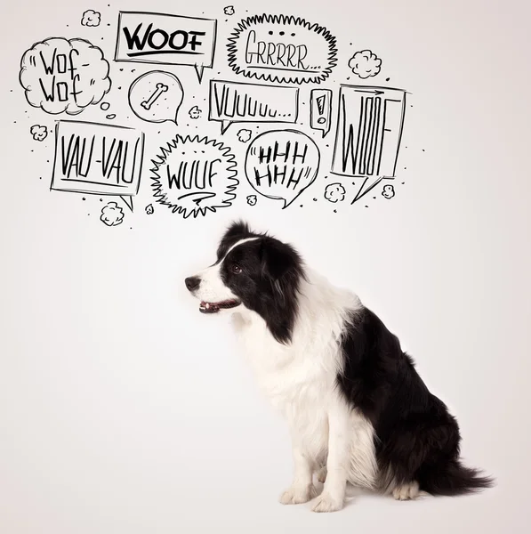 Cute dog with barking bubbles — Stock Photo, Image