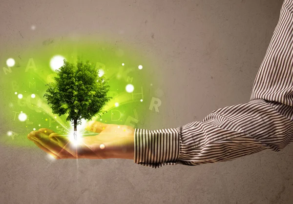 Glowing tree growing in the hand of a businessman — Stock Photo, Image