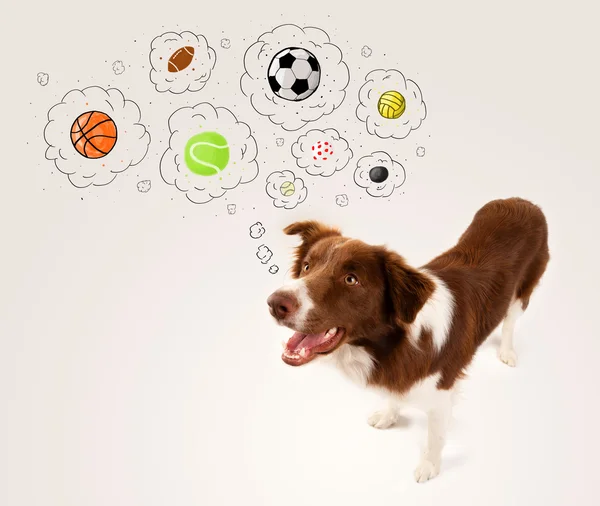 Lindo perro con bolas en burbujas de pensamiento —  Fotos de Stock