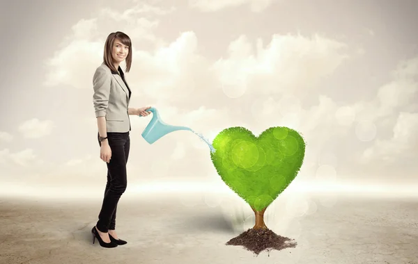 Mujer de negocios riego corazón en forma de árbol verde —  Fotos de Stock