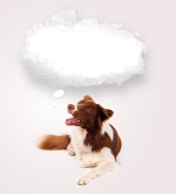 Boş bulut kabarcığı olan şirin bir köpek.
