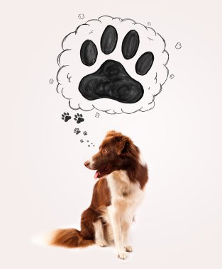 Başının üstünde patisi olan şirin bir çoban köpeği.