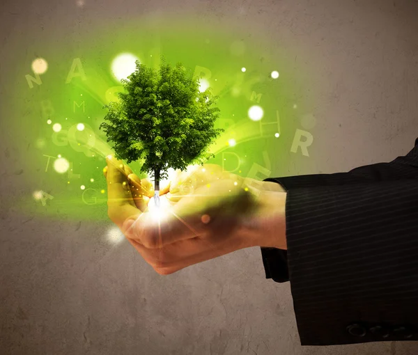 Glowing tree growing in the hand of a businessman — Stock Photo, Image