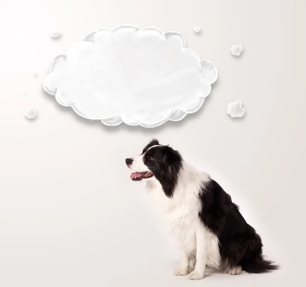 Niedlicher Border Collie mit leeren Wolken — Stockfoto