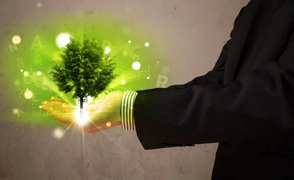 Glowing tree growing in the hand of a businessman — Stock Photo, Image