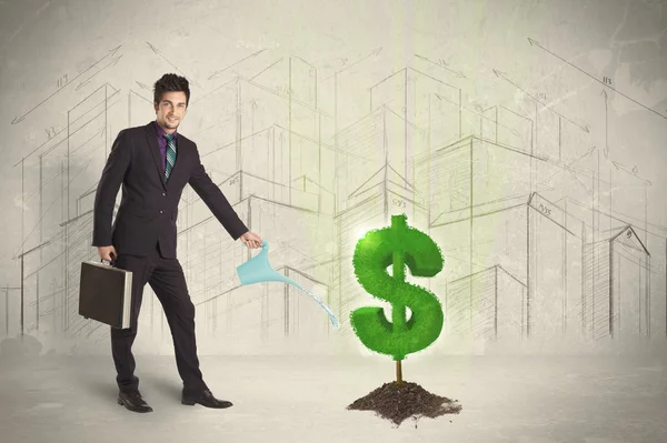 Business man poring water on dollar tree sign on city background — Stock Photo, Image