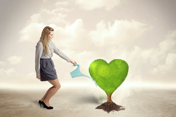 Business woman watering heart shaped green tree — Stock Photo, Image