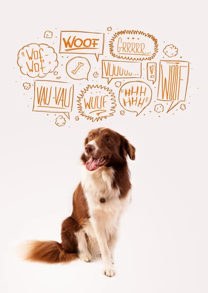 Lindo perro con burbujas ladrando —  Fotos de Stock