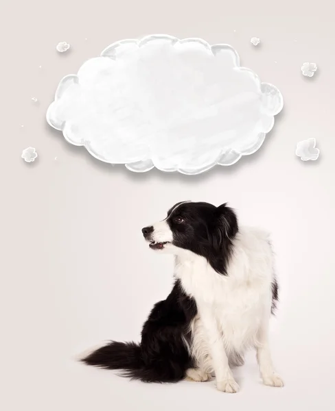 Niedlicher Border Collie mit leeren Wolken — Stockfoto