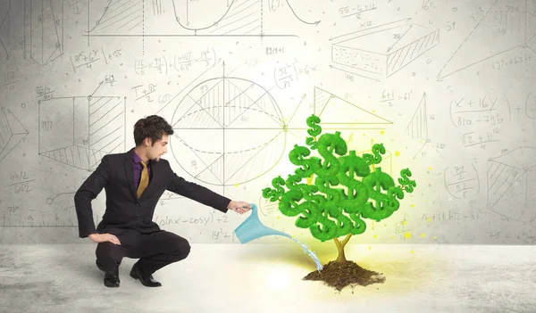 Business man watering a growing green dollar sign tree — Stock Photo, Image