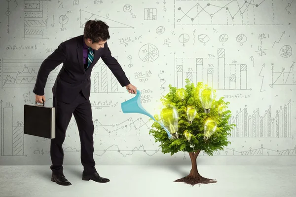 Business man pouring water on lightbulb growing tree — Stock Photo, Image